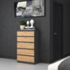 5904507201463-4 Dressoir Malwa M5