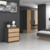 M_3_close Dressoir Malwa M3