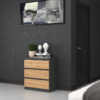 M_3_close_2 Dressoir Malwa M3