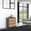 R_M3 Dressoir Malwa M3