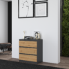 R_M3_ Dressoir Malwa M3
