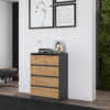 R_M4_ Dressoir Malwa M4