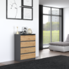 R_M4_close Dressoir Malwa M4