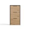 brylka4 Schoenenkast Paula – Artisan eiken / Zwart – 3 deuren